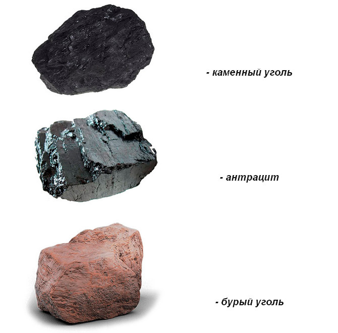 Разновидности угля для топки печи