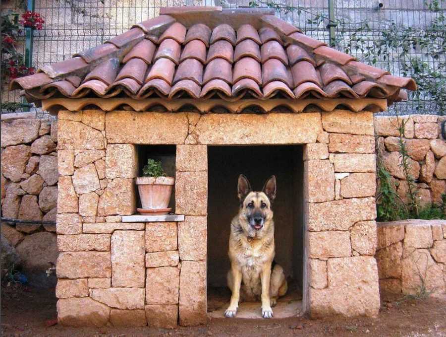 Будка для собаки своими руками: схемы, домашняя и уличная, утепление, чертежи