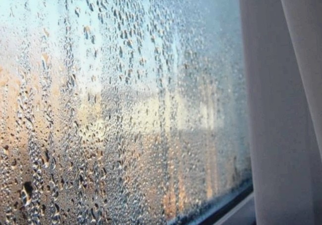 Оптимальный уровень влажности в квартире