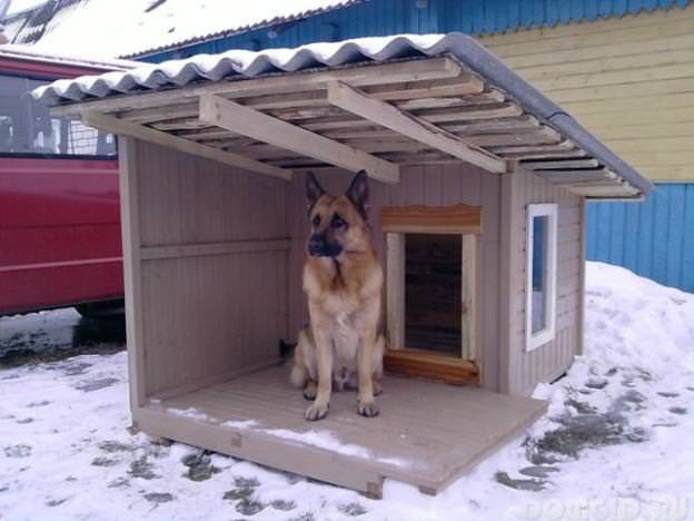 Если собака зимой мерзнет на улице, в таком случае необходимо правильно утеплить ее будку 