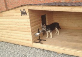 Самодельная будка для собаки